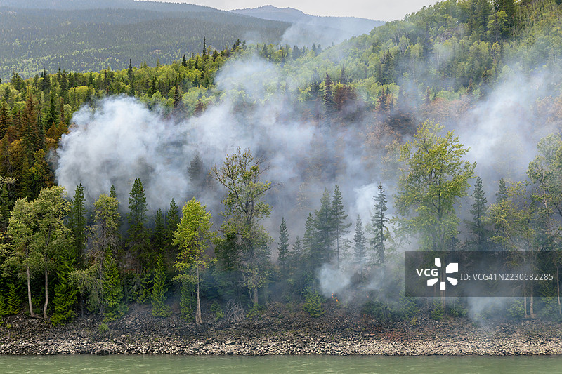 加拿大不列颠哥伦比亚省北部的森林火灾图片素材