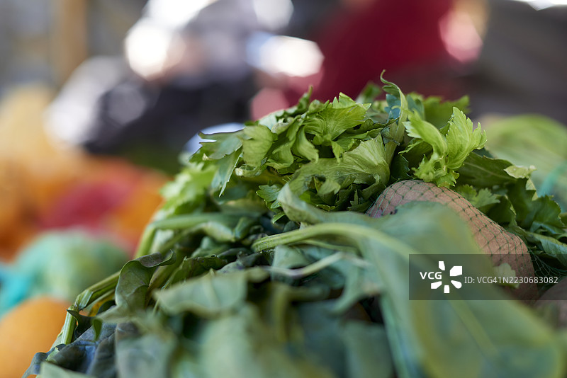 新鲜的芹菜和菠菜叶在农贸市场上展示图片素材