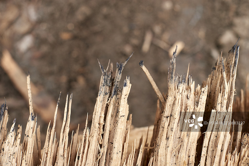 破损的木材显示出腐烂和损坏的迹象图片素材