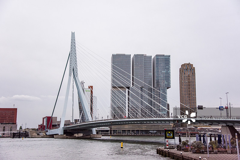 鹿特丹的伊拉斯姆斯桥（Erasmusbrug）。图片素材