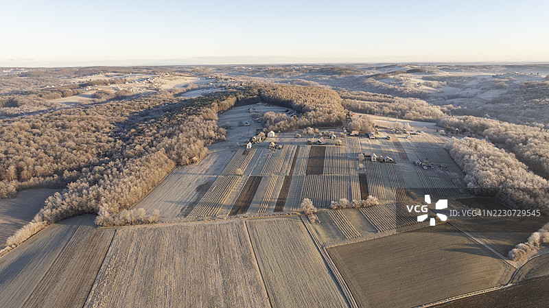 日出时分的冰霜景观，田野与森林相映成趣图片素材