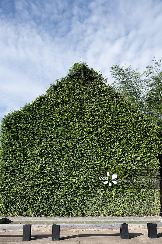 一座顶部有绿色树篱的建筑图片素材