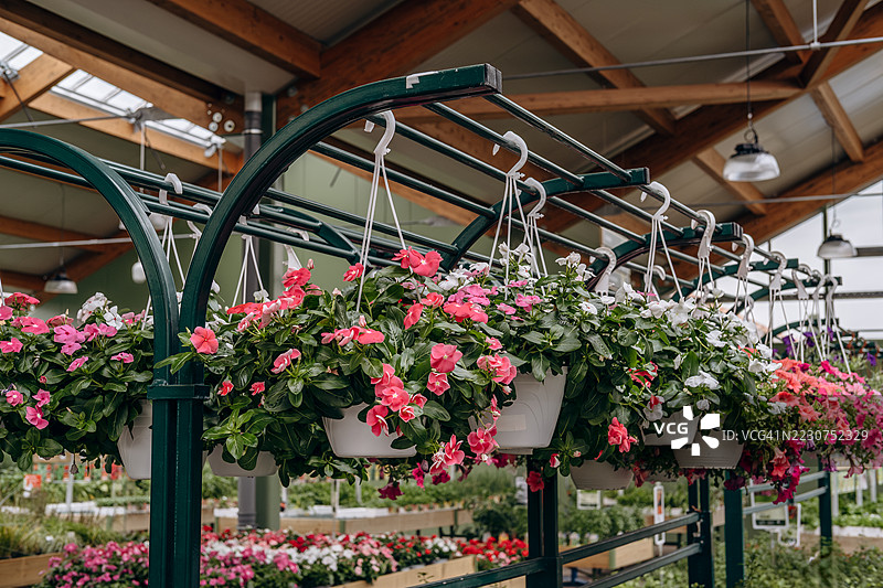 充满生机的花店，里面有郁郁葱葱的植物和五彩缤纷的花朵，展示着各种花卉布置和园艺用品。图片素材