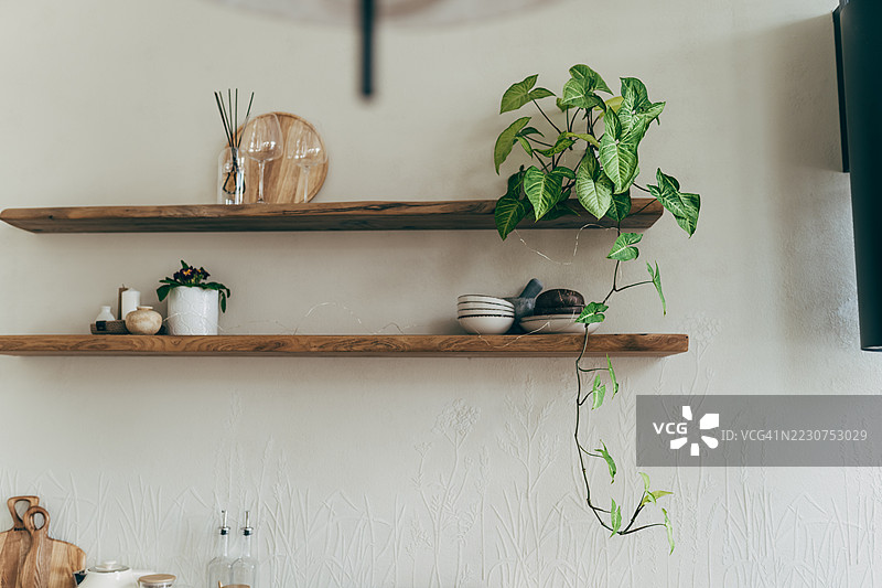 室内植物展示。窗户上的室内植物图片素材