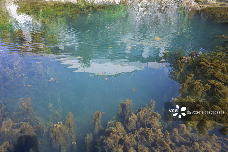 利佩泉,水中有藻类,巴德利佩斯普林格,气候疗养胜地,西法利亚,北莱茵-威斯特法伦,德国图片素材