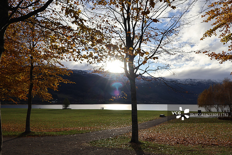 湖边的秋天树木与阳光图片素材
