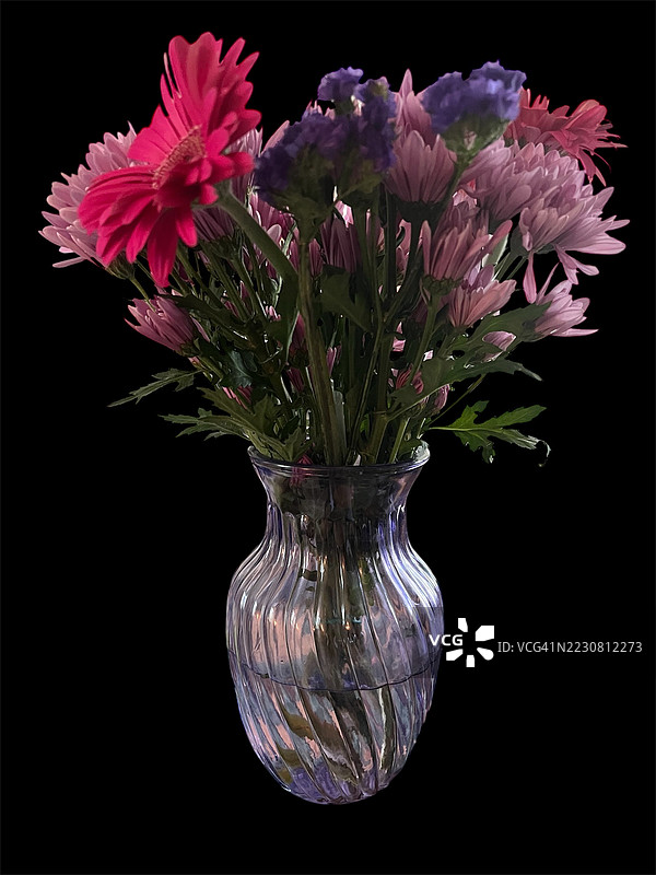 鲜艳的花束放在玻璃花瓶中，背景为黑色图片素材