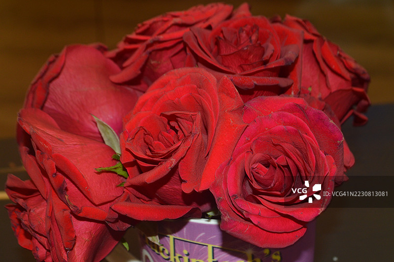 鲜艳的红玫瑰花束图片素材