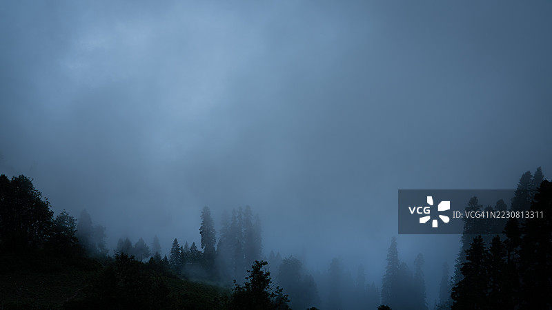 黄昏时分的雾霭森林风景，巴基斯坦图片素材