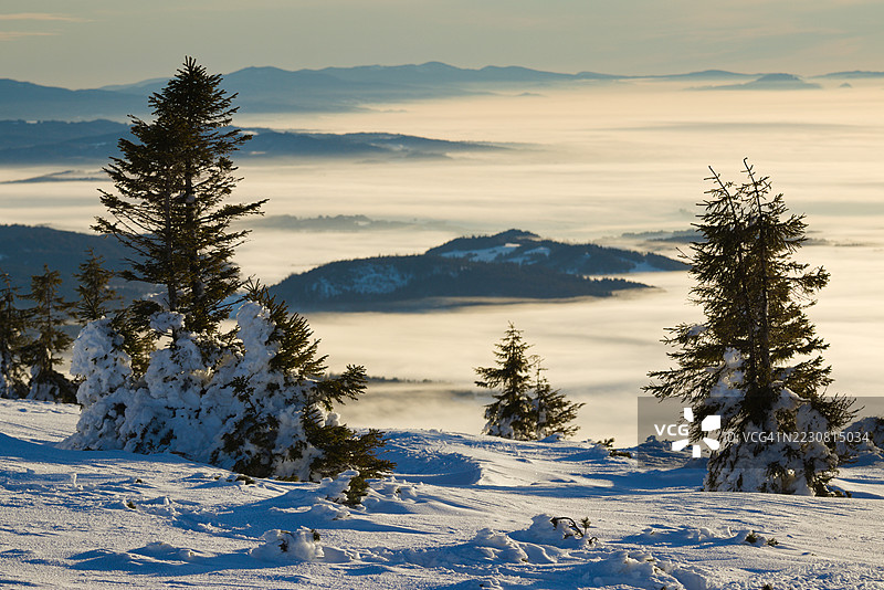 覆盖着雪的树木俯瞰着雾气弥漫的山地风景，波兰图片素材