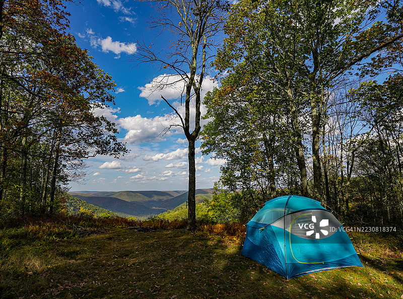 森林中的风景露营地，狐狸，美国，USA图片素材