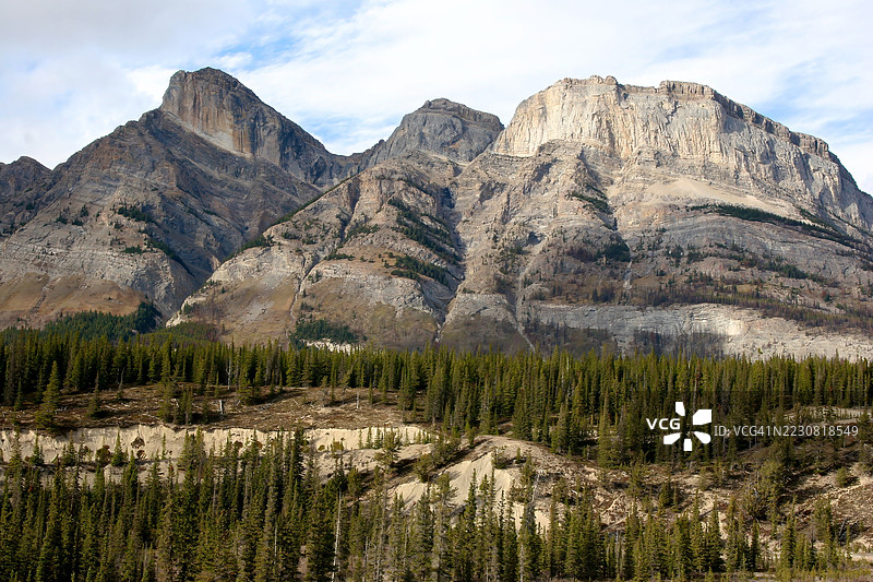 壮丽的落基山脉与白天的松树林，加拿大图片素材
