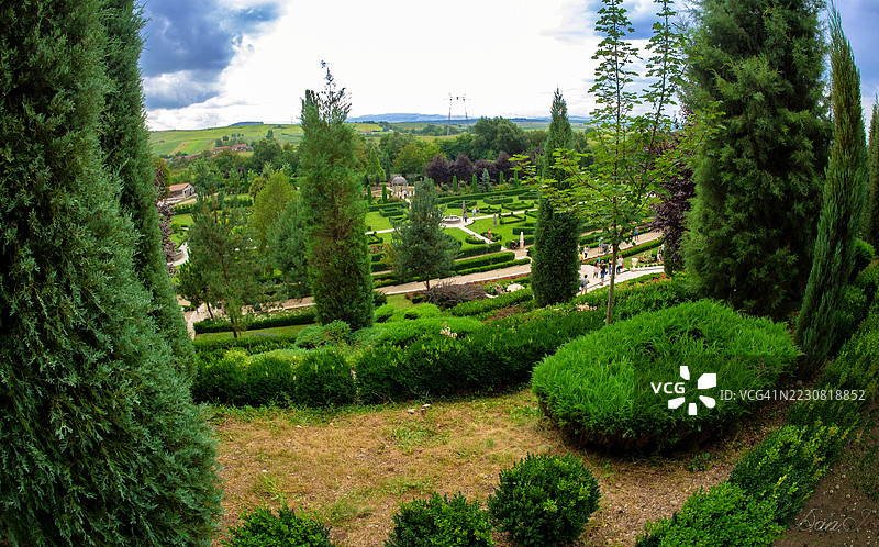 美丽的正式花园景观，树木和小径相伴图片素材