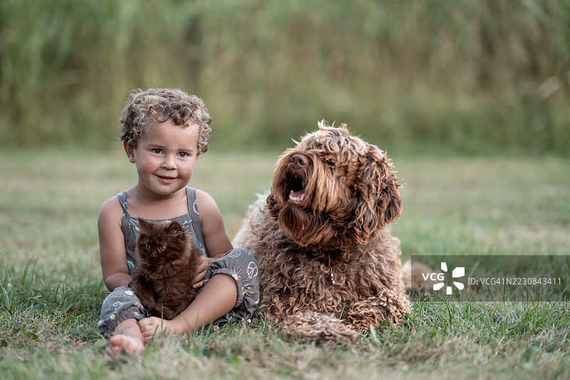 微笑的孩子与小猫和友好的狗在草地上图片素材