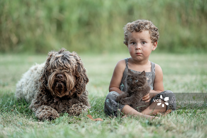 孩子坐在草地上，身边有狗和小猫，环境宁静。图片素材