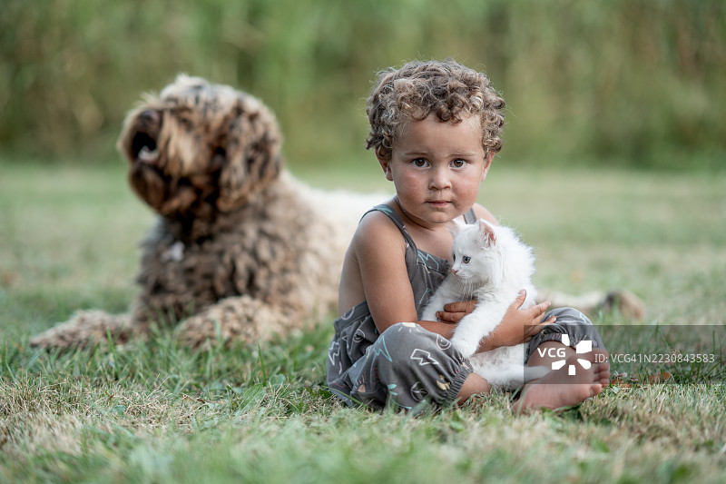 年轻孩子坐在户外，怀里抱着一只白色小猫，背景有一只狗。图片素材