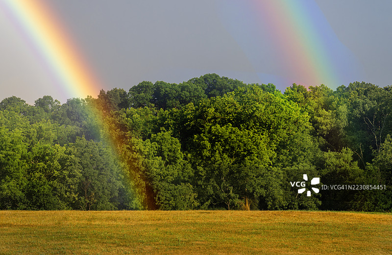 彩虹拱桥横跨郁郁葱葱的森林图片素材