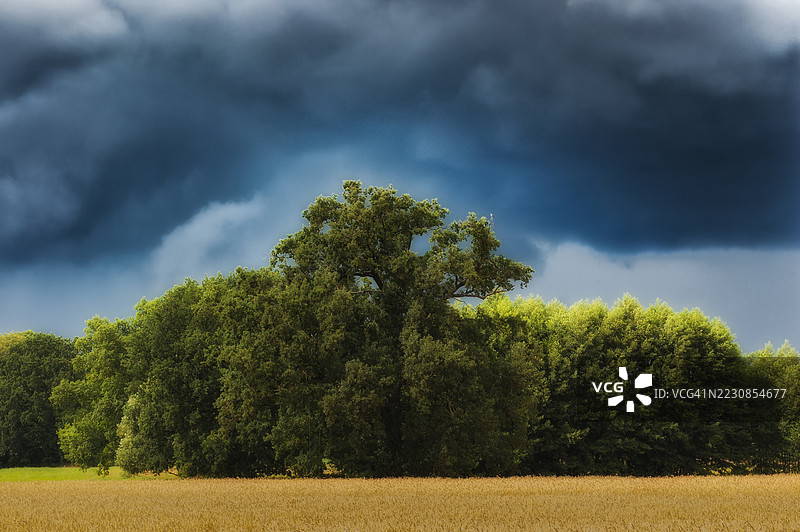 德国田野上郁郁葱葱的树木下的暴风雨天空图片素材