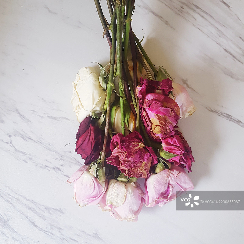 高角度视图的枯萎玫瑰放在大理石表面上图片素材