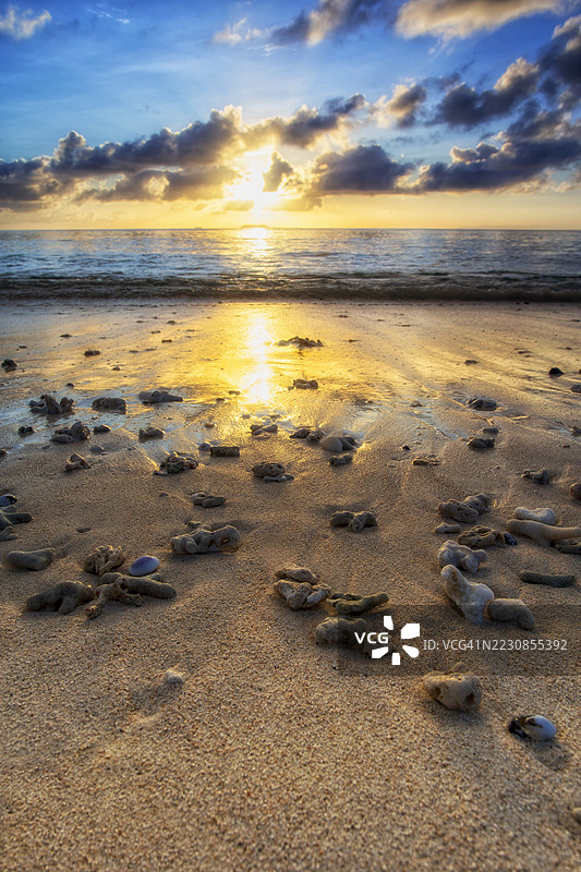 斐济的沙滩上日落，散落着珊瑚和贝壳。图片素材