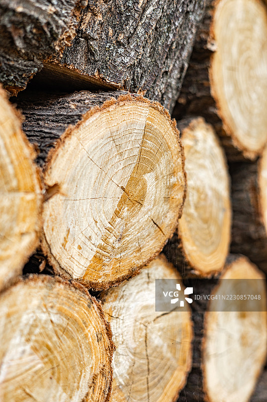 堆叠木材的特写，展示树轮和树皮纹理图片素材