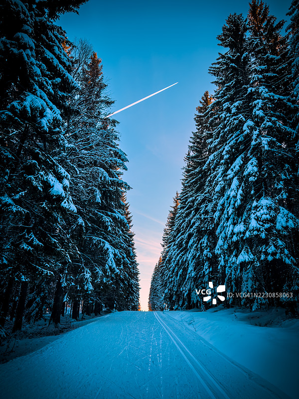 德国格拉芬诺的蓝天下，森林中的雪-covered道路图片素材