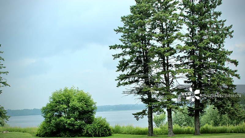 阴天湖边的树木风景，菲利普斯，美国图片素材