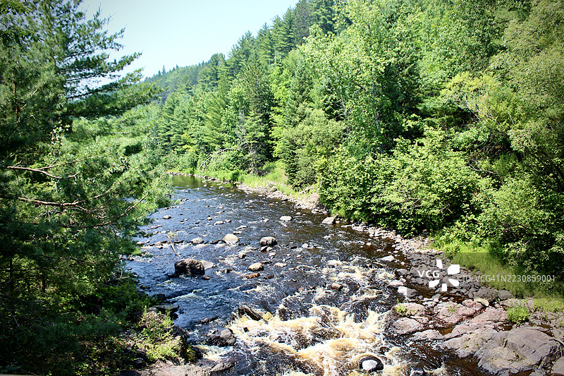 宁静的森林溪流穿过郁郁葱葱的绿植，梅伦，美国图片素材