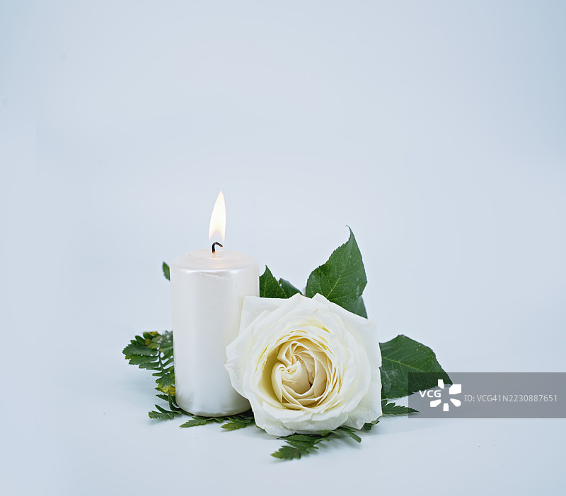 白色背景上的白色蜡烛和玫瑰图片素材