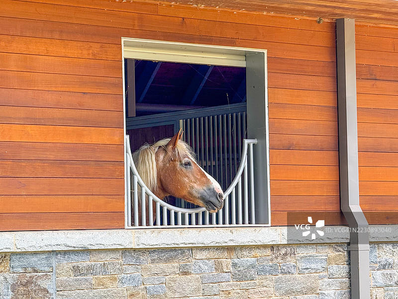 美国公园警察马厩和新教育中心，华盛顿特区。图片素材