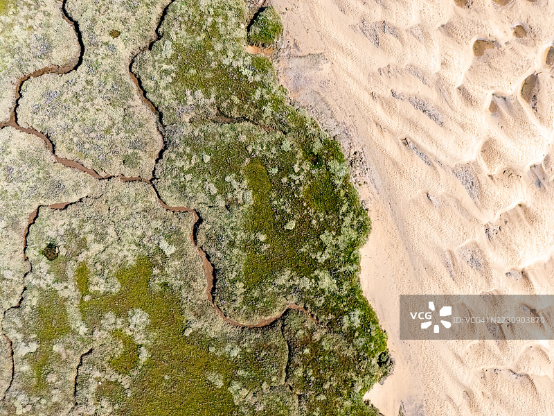 沙子与沼泽地相遇图片素材