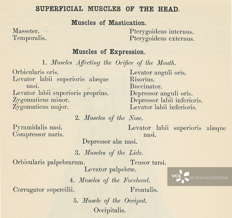 旧版雕刻插图，展示一本人体解剖书中关于头部表层肌肉的页面图片素材