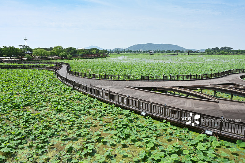 全南道，务安郡，花山白莲池图片素材