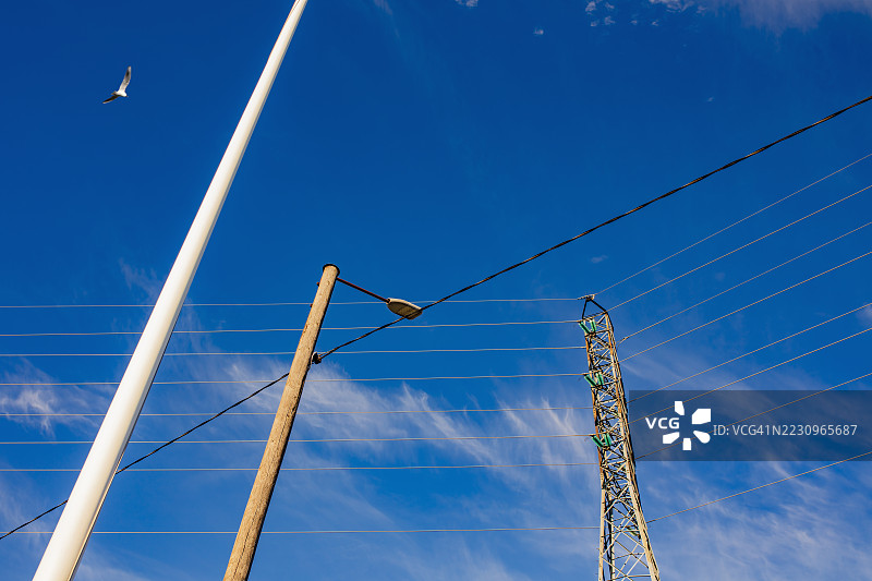 低角度视图的电力塔、电缆和路灯，一只鸟在蓝天中飞翔图片素材
