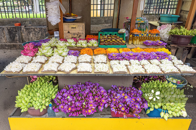 斯里兰卡康提的水莲花供奉用图片素材