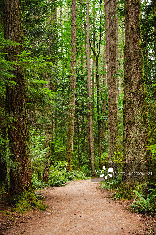 温哥华的自然风光图片素材