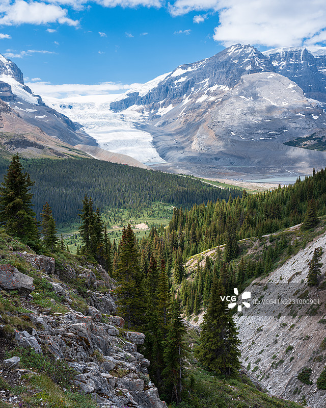 壮丽的雪山和郁郁葱葱的森林景观，加拿大图片素材