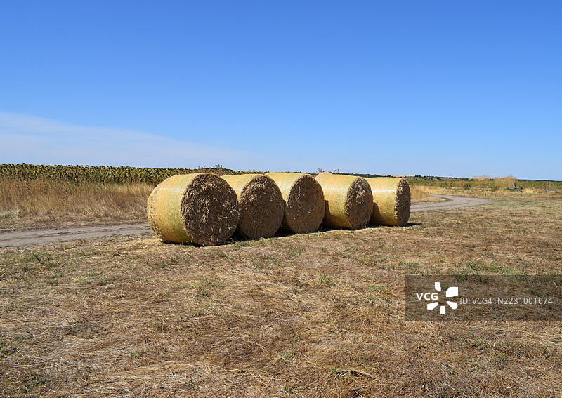 农村田野中的干草堆，蓝天晴朗，罗马尼亚图片素材