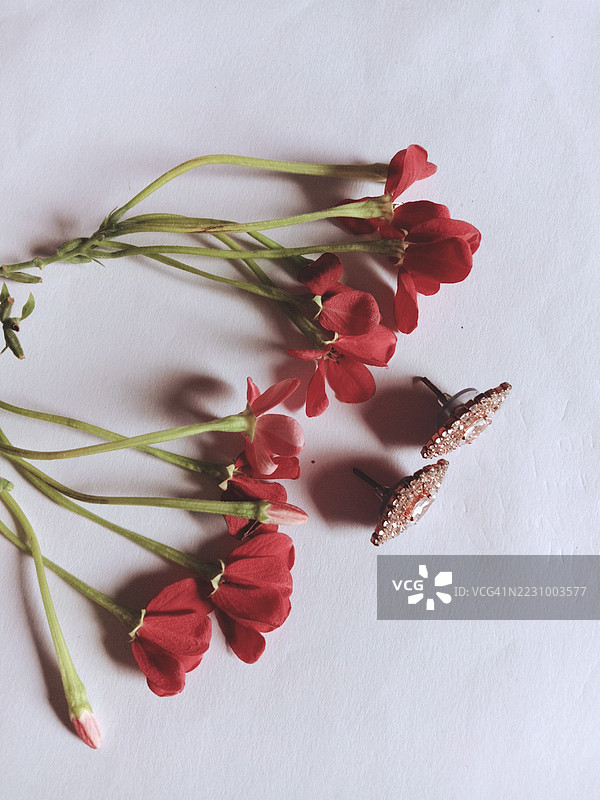 白色背景上的红色花朵和耳环图片素材