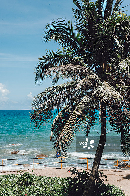 热带海滩，棕榈树和海洋景观，三亚，中国图片素材