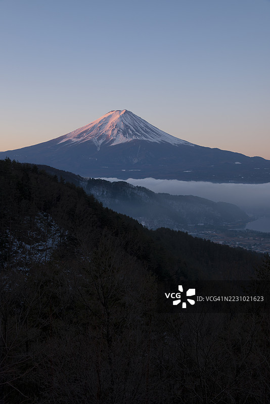日出时分，粉色的富士山映衬在云海之上图片素材
