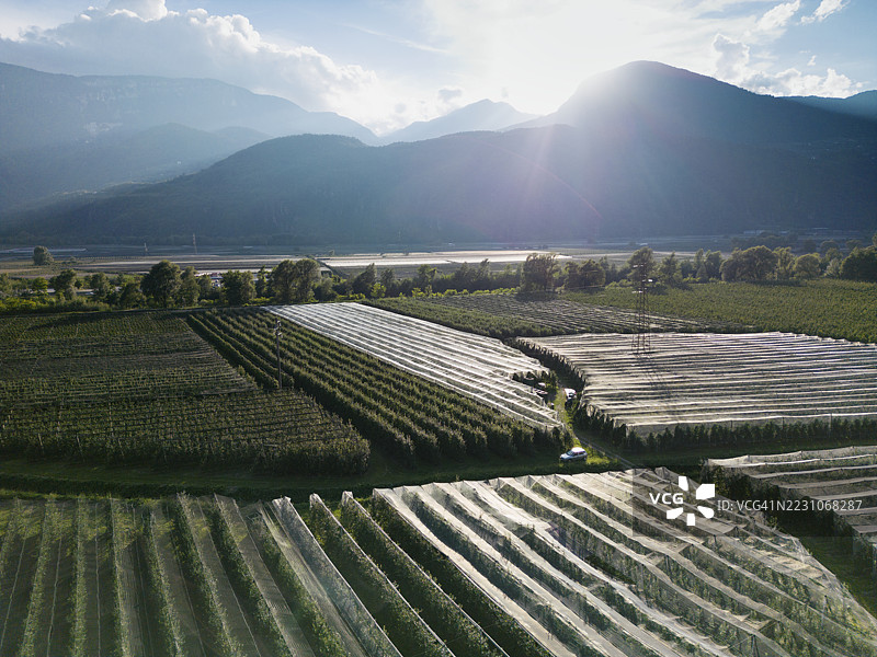 埃茨谷的苹果 orchard 空中视图图片素材