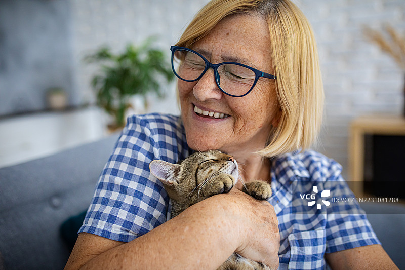 快乐的老年女性在家里和她的猫玩耍图片素材