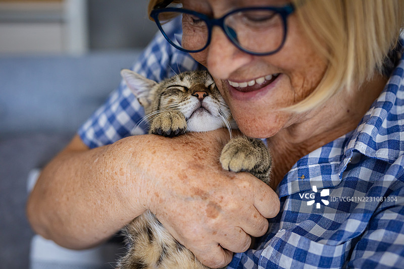 快乐的老年女性在家里和她的猫玩耍图片素材