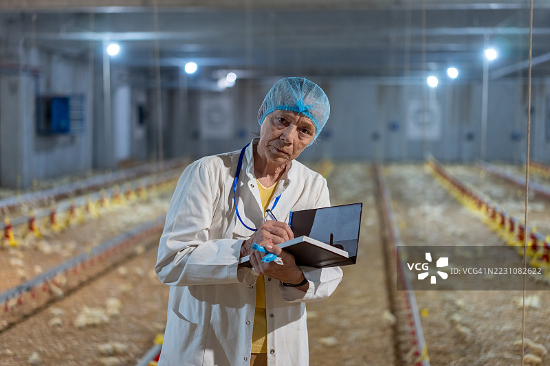 资深女性兽医在禽类农场检查鸡只图片素材