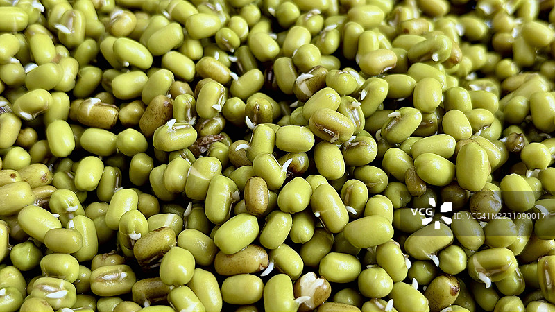 新鲜绿豆的特写，带有微小的芽，象征着健康食品和自然营养图片素材