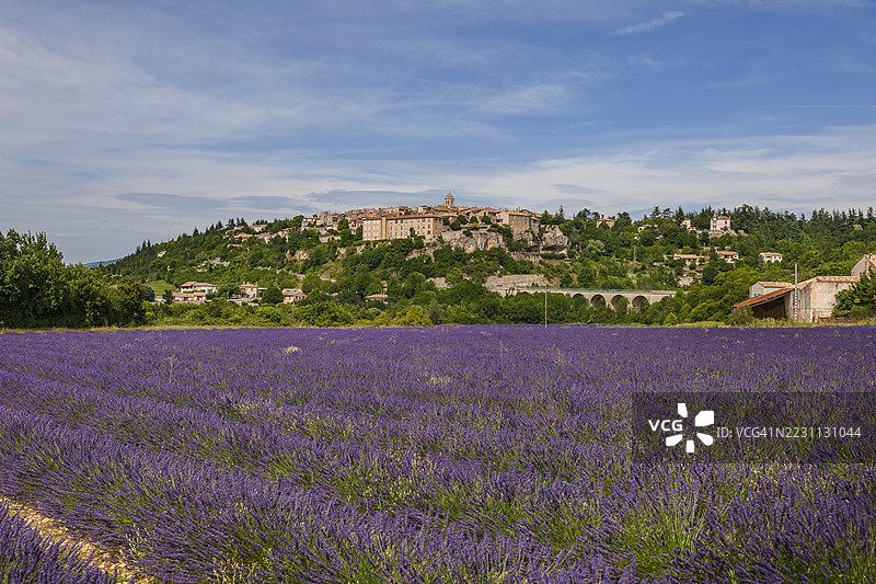 普罗旺斯，索特附近的薰衣草田图片素材