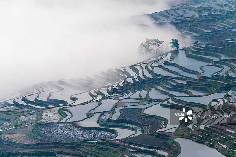 雾中编织的梯田：水与绿的交响曲图片素材