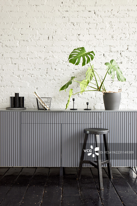 现代室内设计，配有灰色家具和瑞士奶酪植物图片素材