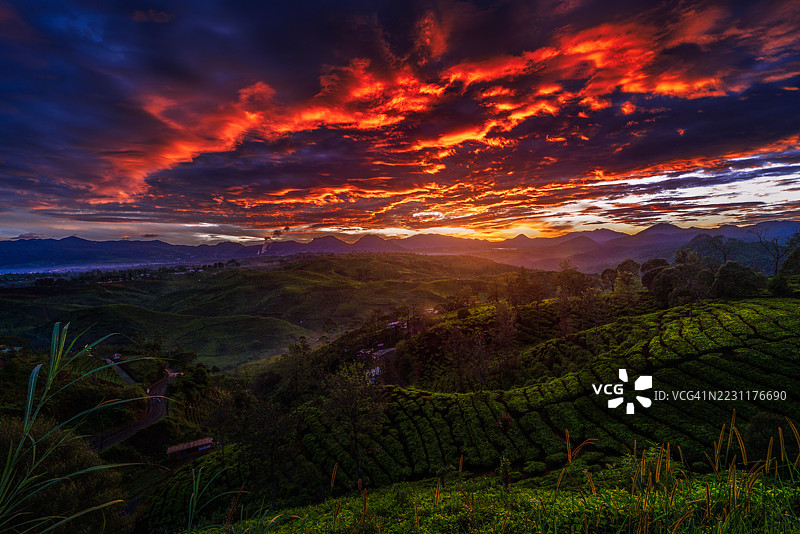 壮丽的日落映照在郁郁葱葱的绿色山丘和戏剧性的天空上，印尼潘加伦甘图片素材
